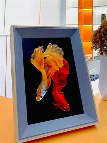 Ảnh Mika Khung Gỗ